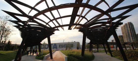 Тюфелева роща