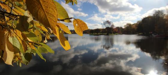 Терлецкий лесопарк (Терлецкая дубрава)