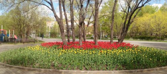 Зеленый парк весной. Фото Бегущего Риэлтора 04.05.2019 г.
