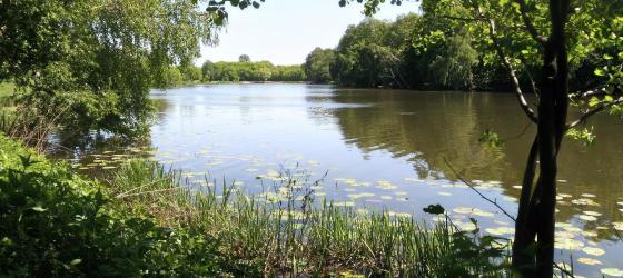 Парк "Кузьминки-Люблино". Фото Бегущего Риэлтора от 18.05.2019 г.