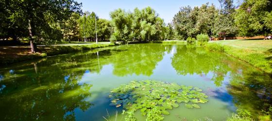 Воронцовский парк